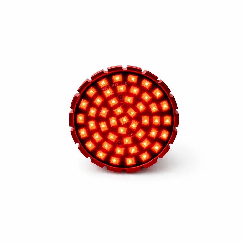 Rear LED Turn Signals for Harley Davidson