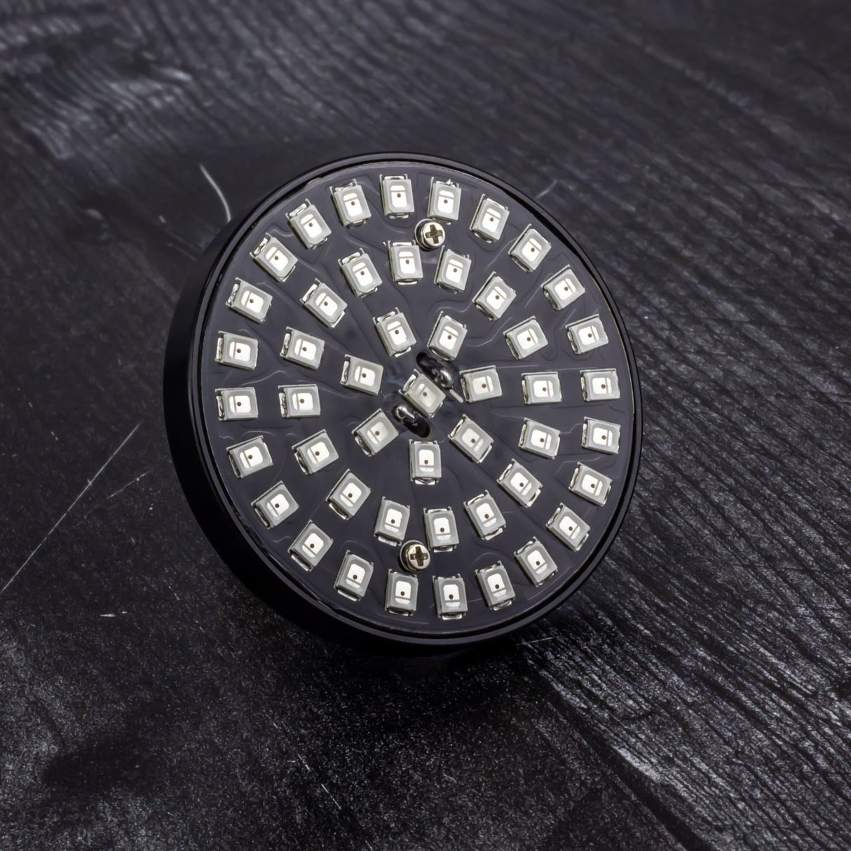 Eagle Lights SUNBURST Rear 2" LED Turn Signals for Harley-Davidson®