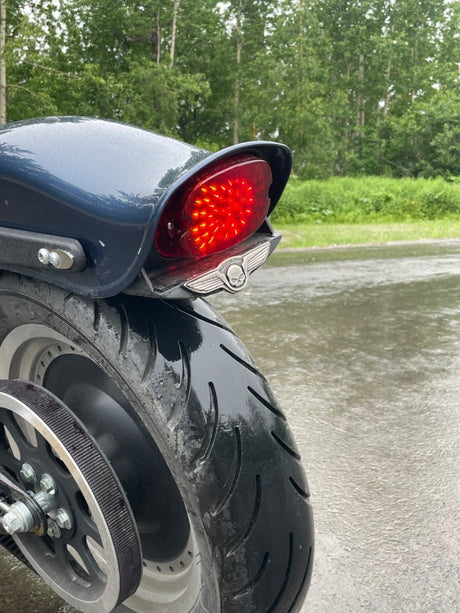 Eagle Lights' LED Low Profile Brake Light for Harley Davidson Motorcycles