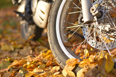 As The Days Get Shorter, Make The Nights Brighter: 5 Ways To Enhance Your Fall Riding Experience