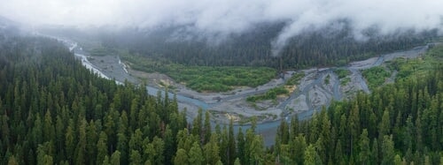 Riding the Pacific Northwest Breeze: Top Two Motorcycle Destinations in Washington State