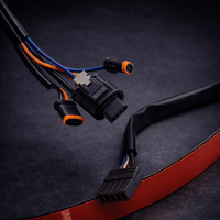 Rear Lighting Harnesses