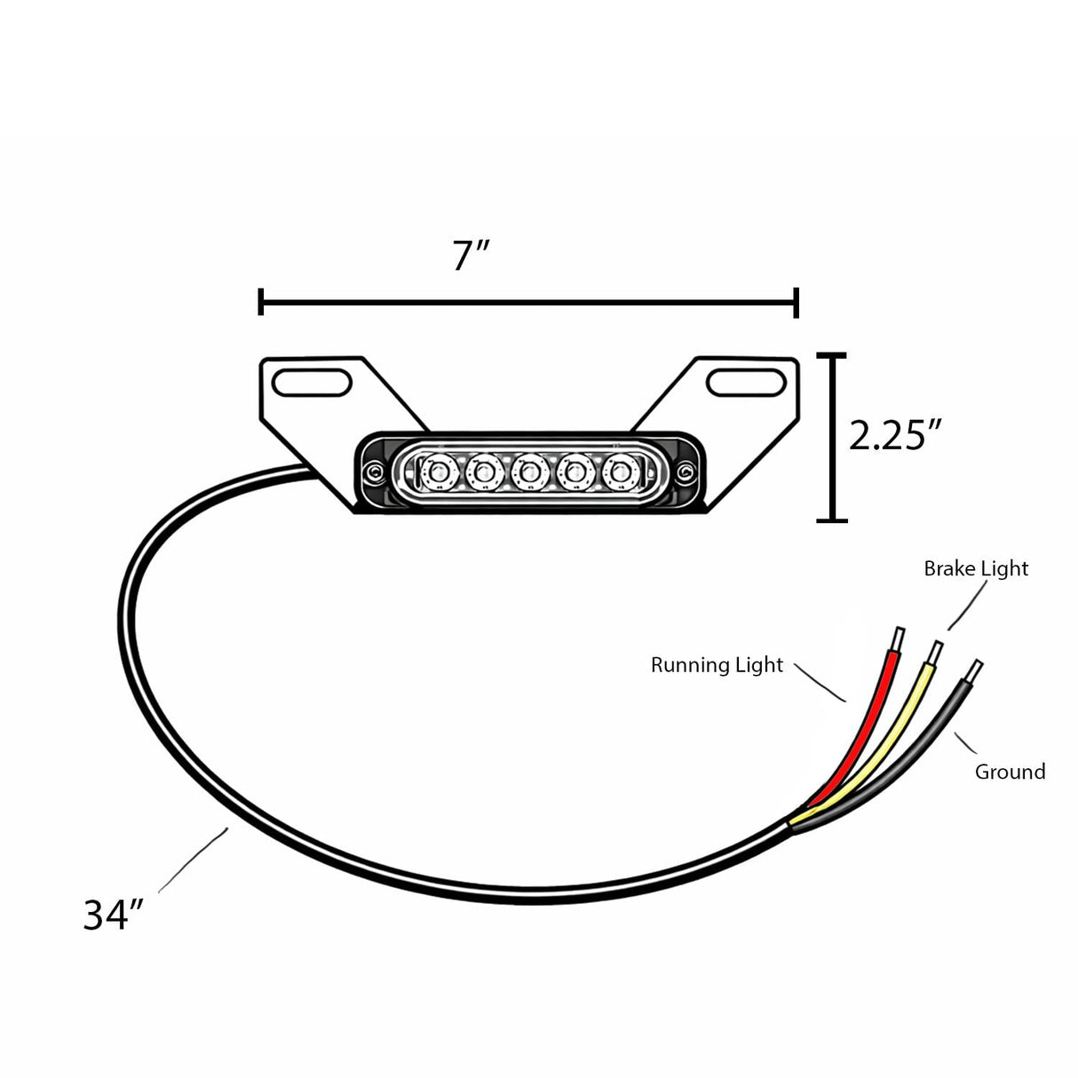 Eagle Lights Auxiliary License Plate Running and Strobing Brake Light