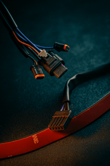 Eagle Lights Rear Lighting Harness with Turn Signal Plugs for 2018 - 2024 Harley-Davidson® Low Rider