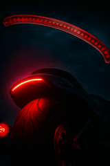 Eagle Lights SLIMLINE Auxiliary Run, Turn Signal and LED Brake Light for 2018+ Harley-Davidson® Fat Bob