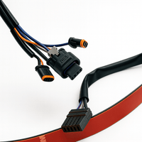 Rear Lighting Harnesses