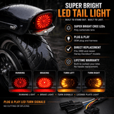 Eagle Lights LED Brake Light with Built In LED Turn Signal Kit for 2021 - Current Harley-Davidson® Low Rider Models