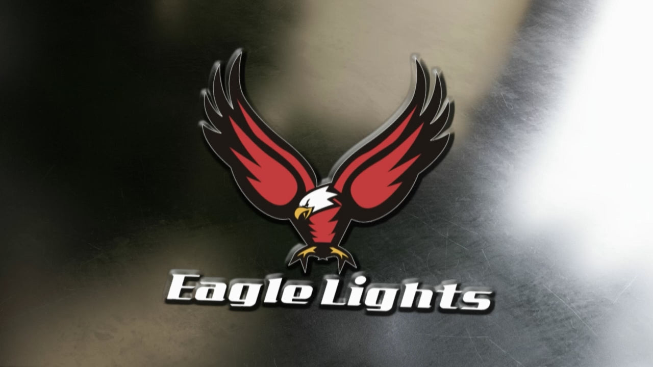 Collections – EagleLights