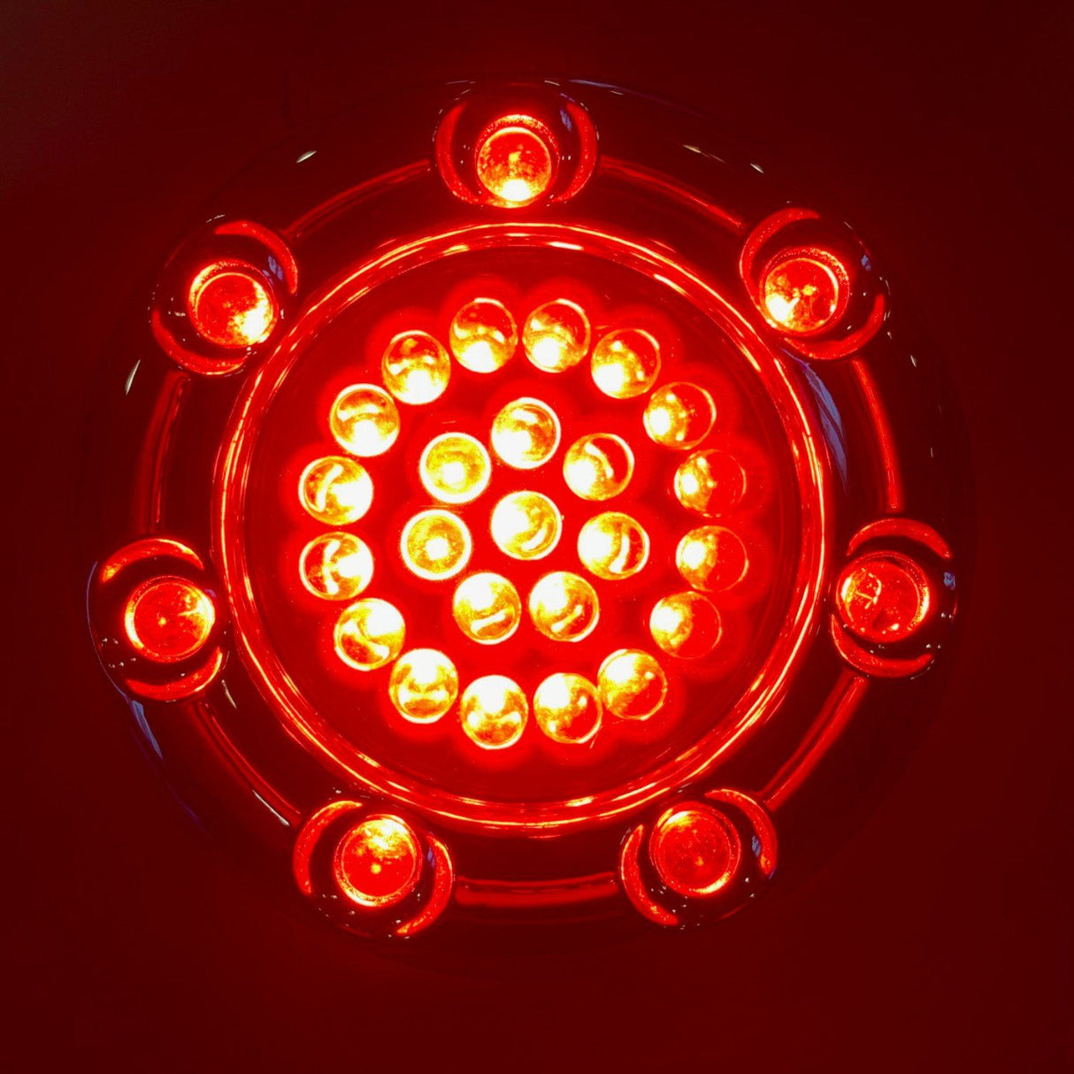 Eagle Lights Infinity Beam 2” Rear LED Turn Signals with LED Ring Covers for Harley Davidson - Rear 1156 / Red LEDs