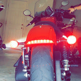 Eagle Lights LED Taillight Conversion / Upgrade Kit for Harley Sportsters with Chopped Fender